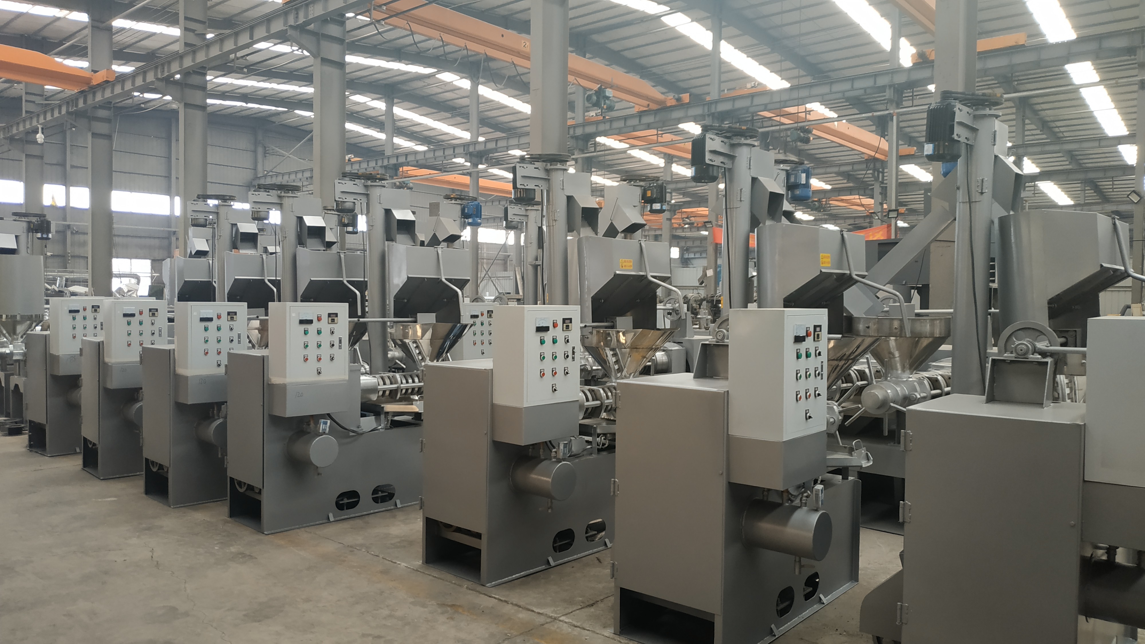 máquina de 380v 100r/Min Vegetable Cooking Oil Making