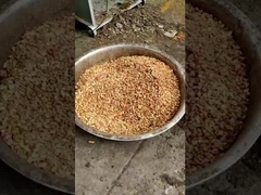 6YL-290 máquina de prensa de aceite de tornillo para prensar aceite de maní