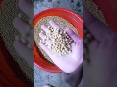 Máquina de prensado de aceite de soja