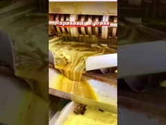 Presión de aceite de colza