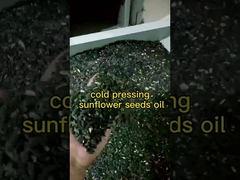 Máquina de prensa de aceite de girasol