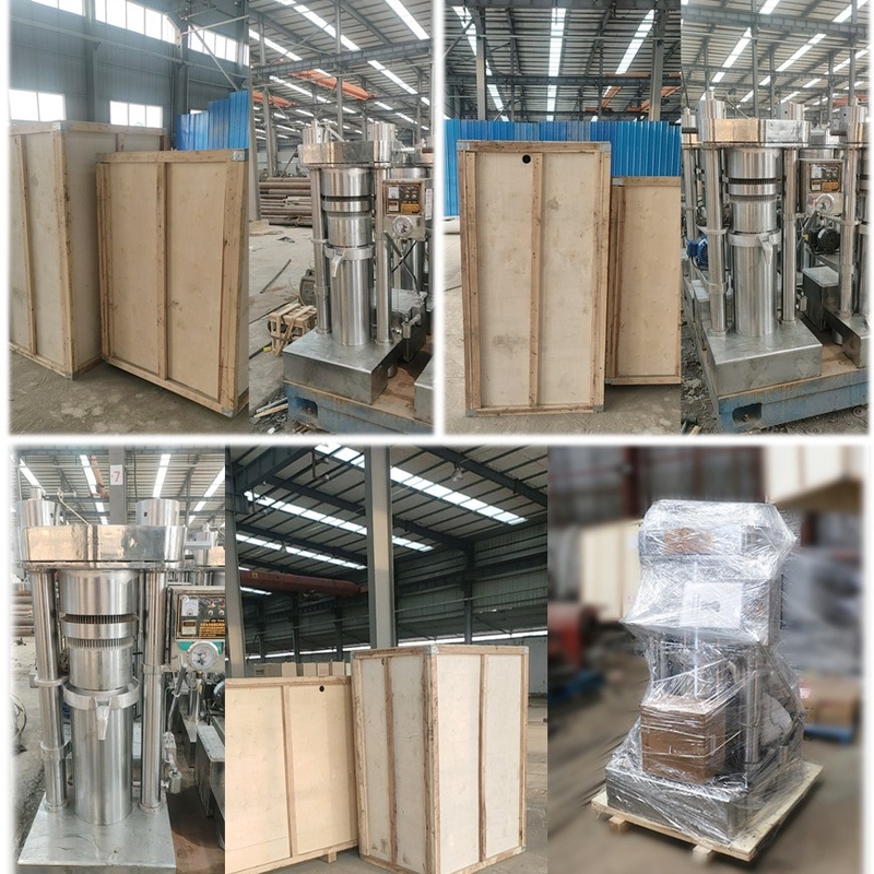 1.1KW Fácil operación Presión de aceite hidráulico Máquina para hacer aceite de sésamo de oliva 6YY-185 Equipo de procesamiento de aceite de aguacate
