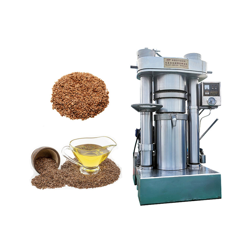 750*10*1640mm Prensadora hidráulica de aceite para la producción de aceite Capacidad 13 kg/ lote
