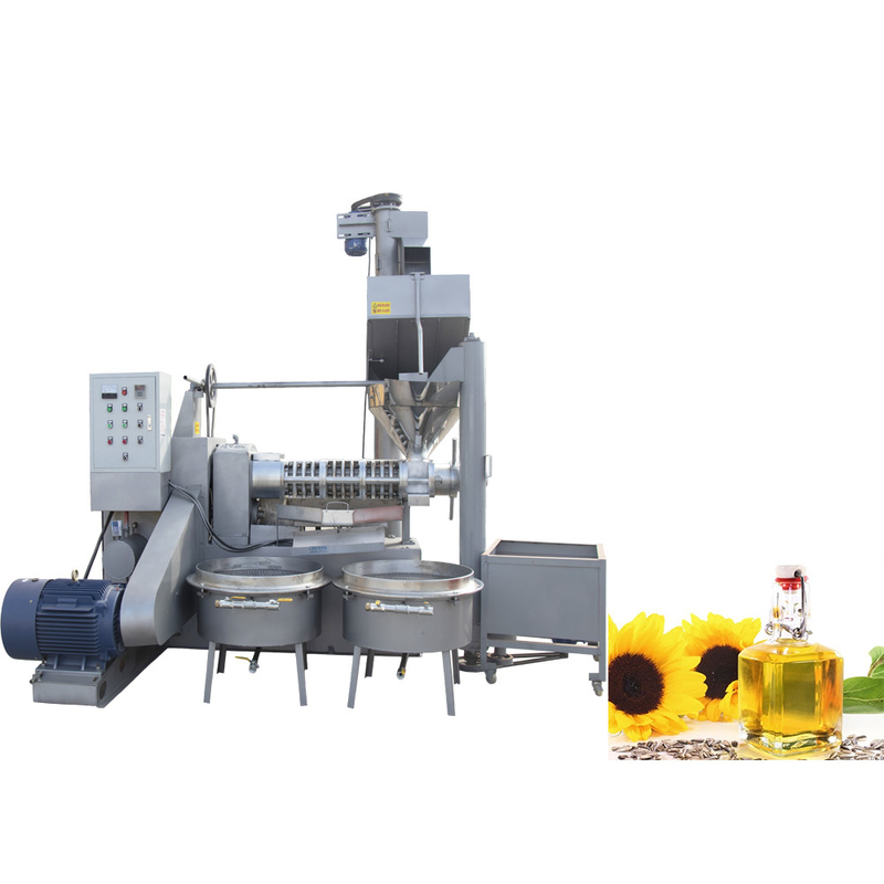 Máquina de prensa de aceite de sésamo de semilla de mostaza 6YL-160 tornillo con capacidad de 300-600 kg/h