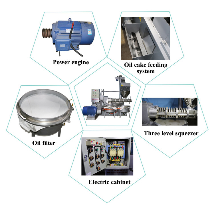 Máquina de prensa de aceite de sésamo de semilla de mostaza 6YL-160 tornillo con capacidad de 300-600 kg/h