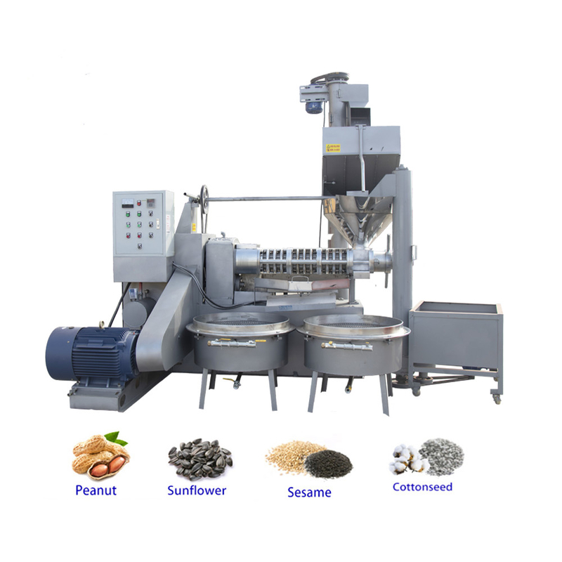 Tornillo comercial Camellia Oil Extraction Machine 2,2 kilovatios del vacío del poder 1900KG del aceite industrial Presser del peso