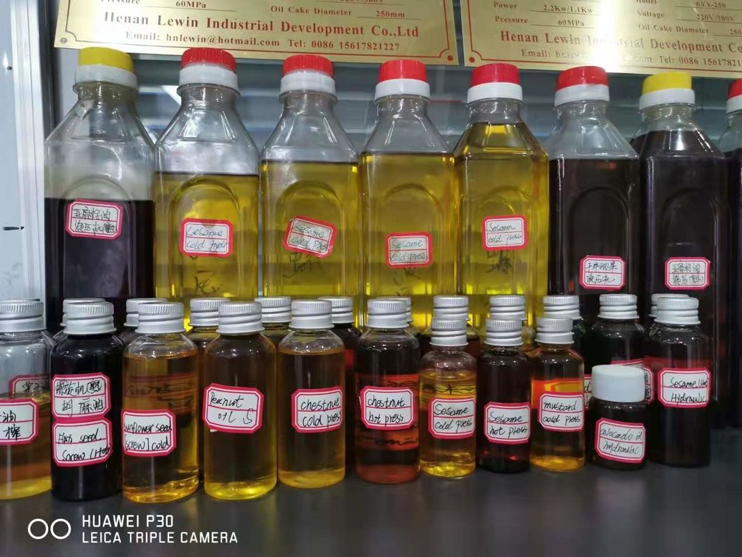 Máquina de prensa de aceite de tornillo de aleación de acero Máquina popular de extracción de aceite de cocina Máquina de prensa de aceite de maní