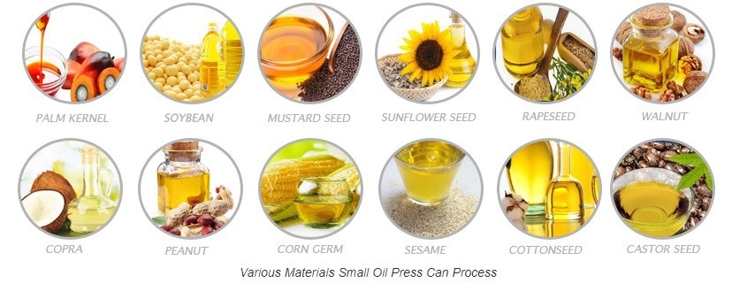 El aceite de coco presionó la máquina de la extracción de aceite del girasol 30 kilovatios con el sistema del filtro